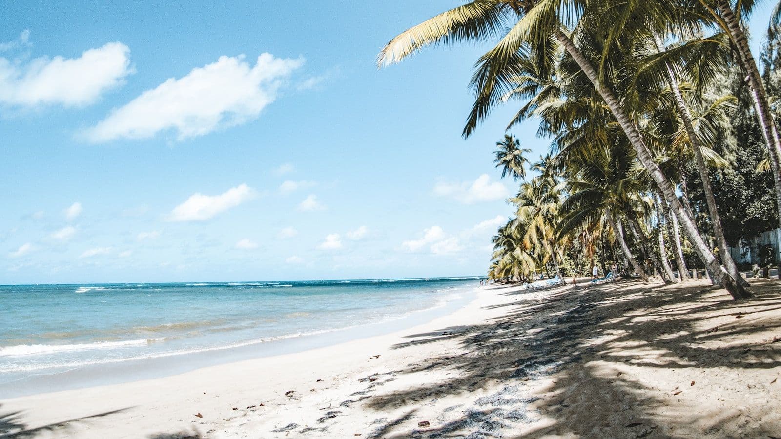 Playa tropical de Las Terrenas bordeada de palmeras